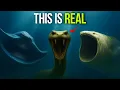 Download Lagu 12 Mythical Sea Creatures That Really Existed