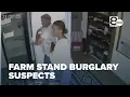 Caddo County Sheriff s Office seeks suspects in family farm stand theft