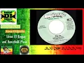 Big Up Riddim Mix(Full)Shaggy, Ryvon, Screechy Dan, Red Fox, Terror Fabulous &More x Drop Di Riddim