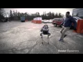 Robot Lives Matter ASPCA Commercial