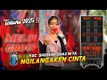 Download Lagu NGILANGAKEN CINTA • Sheshin Shazmita • Dzaky Ndaru Putra • Terbaru 2025‼️