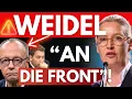 Download Lagu Weidel eskaliert❗️\