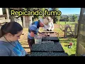 Download Lagu We started the transplanting of tobacco seedlings