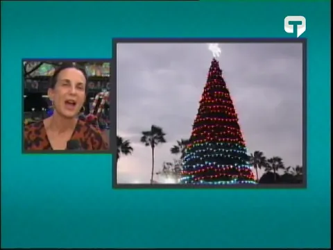 Guayaquil espacios públicos se iluminan con encendido de árboles de navidad