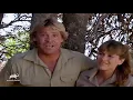 Animal Planet - The Crocodile Hunter