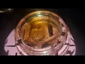1 Gram Pie Crust HCE Dimands Sauce by MPX My MD Medical Cannabis Reviews