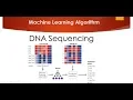 DNA Sequencing Classifier using Machine Learning