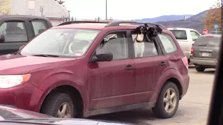 Walmart Plymouth NH