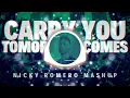 Nicky Romero vs Martin Garrix - Tomorrow Comes vs Carry You (Nicky Romero UMF 2024 Mashup)