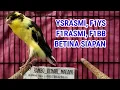 Download Lagu THE LEGEND, THE MONSTER YSRASMI, RASMI INDO, F1YS, F1RASMI DAN BETINA SIAPAN