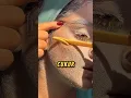 Download Lagu CUKUR Bulu Halus di Muka❗😲 #videoviral #salon #videoshort