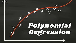 Mastering Polynomial Regression in Machine Learning Unleashing Curves Features and Square Roots