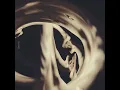 drown - Siamese