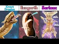 LARGEST Creatures in Star Wars EXPLAINED in Detail