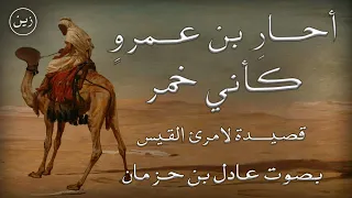 أحار بن عمرو كأني خ م ر قصيدة لامرئ القيس بصوت د عادل بن حزمان مع شرح مبسط 