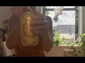 Wegman s Lemon Seltzer ASMR