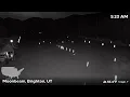 USA Now