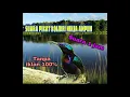 Download Lagu suara pancingan kolibri ninja agar cepat gacor full 1 jam tanpa iklan