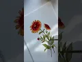 Indian blanket flower watercolor painting