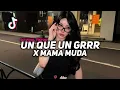 Download Lagu DJ UN QUE UN GRRR | DJ DAME UN EGG X MAMA MUDA VIRAL TIKTOK TERBARU 2025