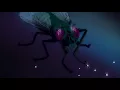 Unknown Mortal Orchestra - Not in Love We're Just High (Official Video)