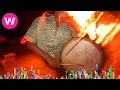 Download Lagu Indian song: Tapatham | the Laya Project