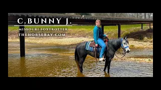 Meet Bunny Registered Missouri Foxtrotter Mare For Sale Ranch