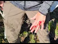 Python Bite