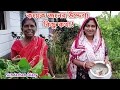 Download Lagu আজ বিশেষ অনুরোধ করছি! সবাই সবার কাজে ব্যস্ত!Sundarban Diary 