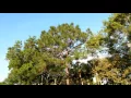 Hamptons in Jupiter Florida