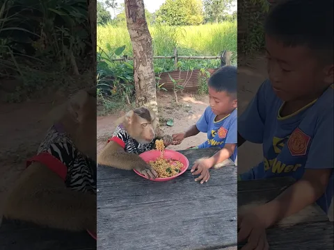 Amazing Video Best SokYaa,OG, Pao & Mom Are Famous Around The World #shorts