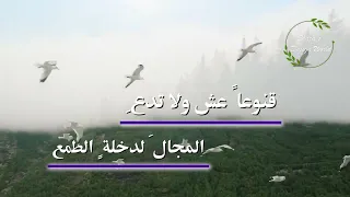 دع الدنيا   عمر العيسى دندنها