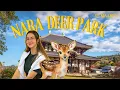 Download Lagu Nara deer park vlog #japan #vlog #travel
