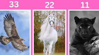 استرسال الدور الذي تلعبه فى حياة هذا الشخص لماذا تقابلتم و نوع العلاقة كارما توأم روح او شعلة 