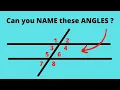Parallel Lines cut by a Transversal