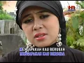 sinis