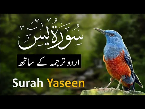 Download MP3 Surah Yasin ( Yaseen ) with Urdu Translation | Quran Tilawat Beautiful Voice | Hindi Tarjuma 109