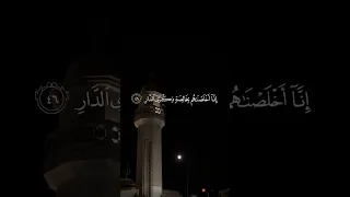 إنا وجدناه صابرا محمد النقيدان سورة ص آية 44 