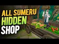 All 12 Sumeru Hidden Shop Location