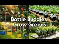 Download Lagu 🌱 DIY Hydroponic Wonders from Bottles 🌱 Garden Recycle from trash to treasure