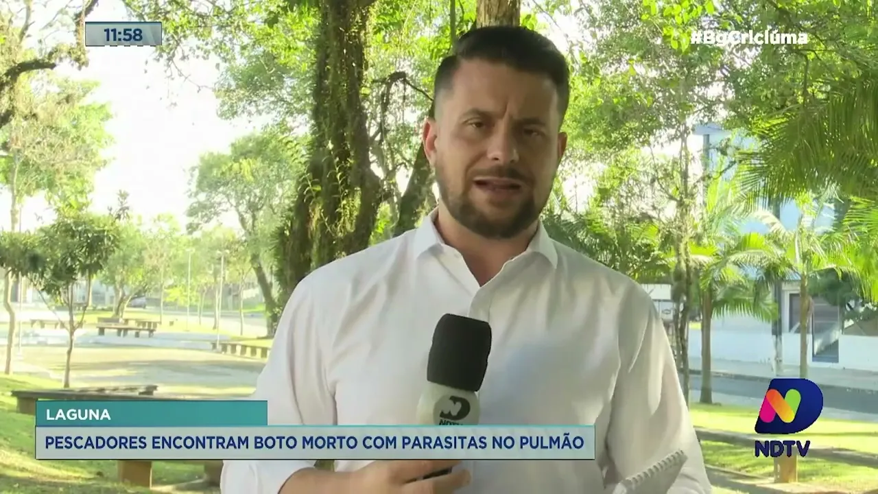 Pescadores encontram boto morto com parasitas no pulmão em Laguna