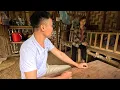 Download Lagu Ly Vy Ca faces the appearance of Khang's friend. Ly Vy Ca