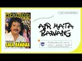 Download Lagu Caca Handika ft. New Pallapa - Onion Tears (Official Music Video)