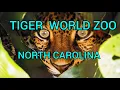 Download Lagu Tiger World Zoo in Rowan County, North Carolina 