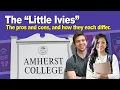 Insider s Guide to the Little Ivies Pros Cons and Key Differences Between Them