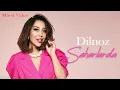 Download Lagu Dilnoz - Saharlarda (mood video)