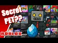 Download Lagu We NEED the Secret PETS !! | Pet Odyssey Roblox