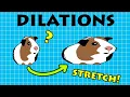 Transforming with Dilations and what they look like VCE METHODS