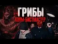 ГРИБЫ- КОПЫ(БИСТМАСТЕР REMIX)