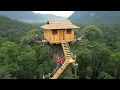 Lagu Building a Bamboo house on top Red Burmese grape tree, Survival Alone with Natural Food
